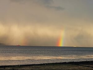 WhatsApp Image 2024 11 20 At 11.03.20 AM 1 300x225