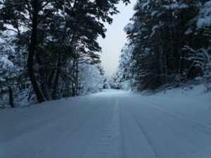 WhatsApp Image 2024 11 20 At 11.03.21 AM 300x225