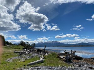 WhatsApp Image 2024 11 20 At 11.14.15 AM 300x225